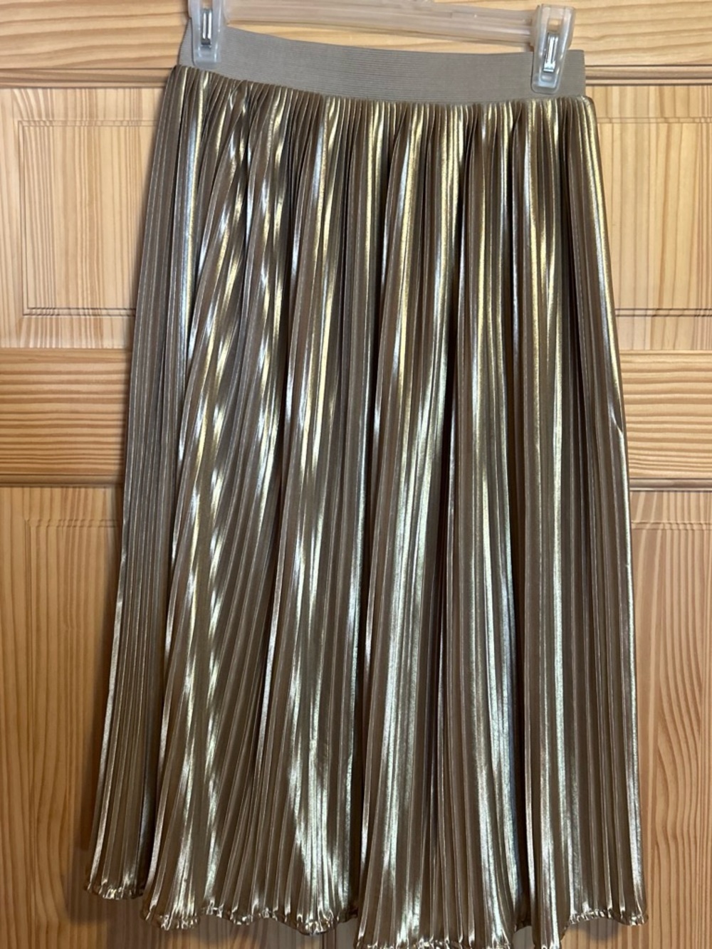 Metallic Pleated A-Line Skirt in Gold